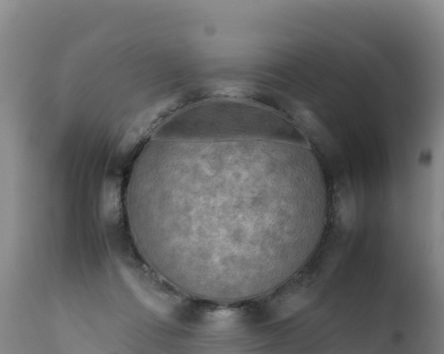 X0000112400312200908281757