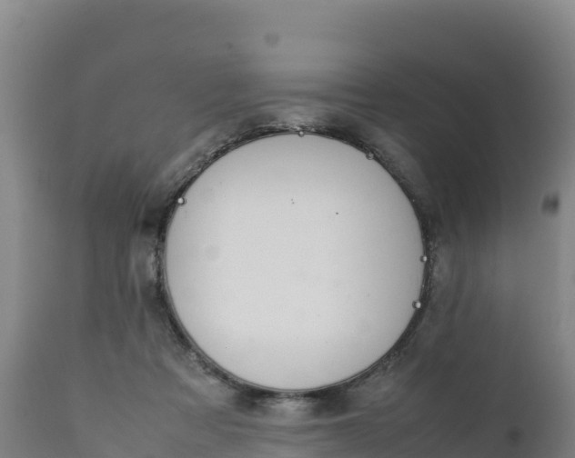 X0000112400313200908281757