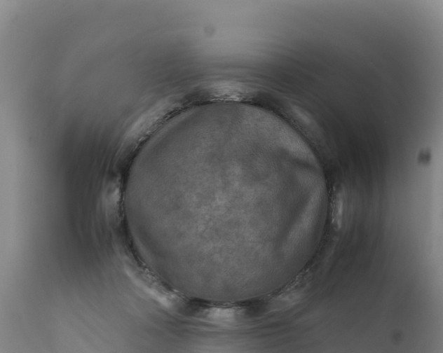 X0000112400314200908281757