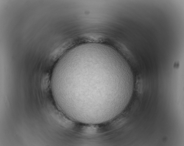 X0000112400318200908281757