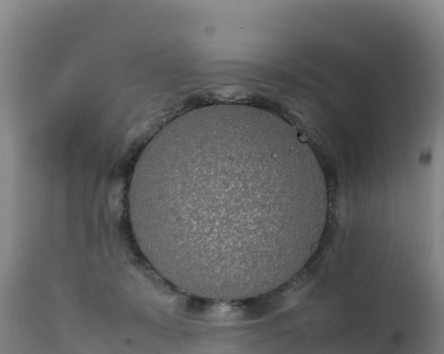 X0000112400319200908281757