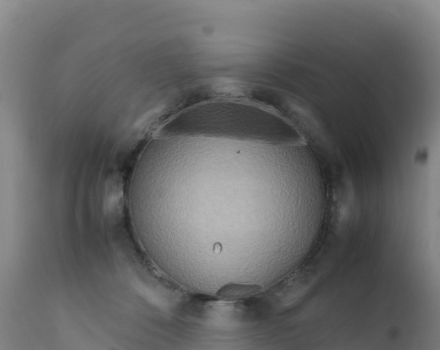 X0000112400320200908281757