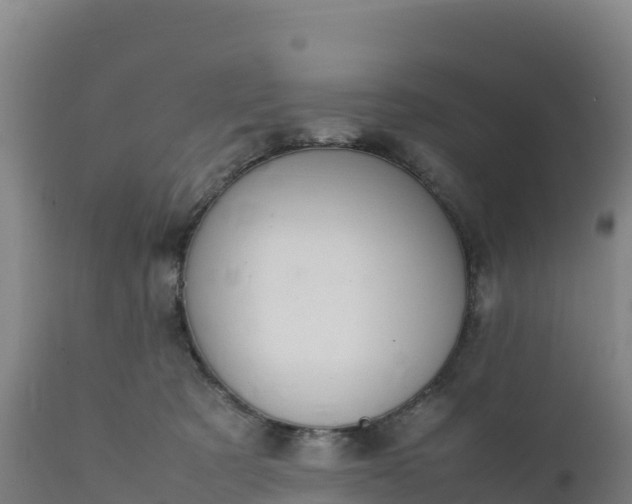 X0000112400321200908281757