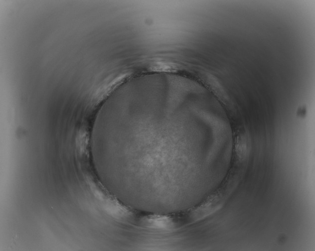 X0000112400322200908281757