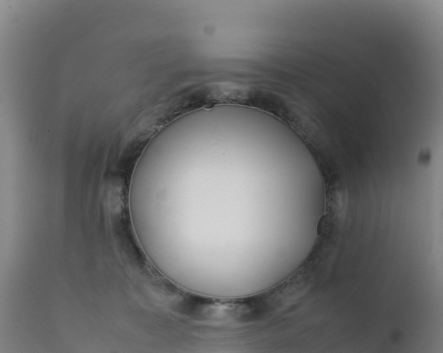 X0000112400323200908281757