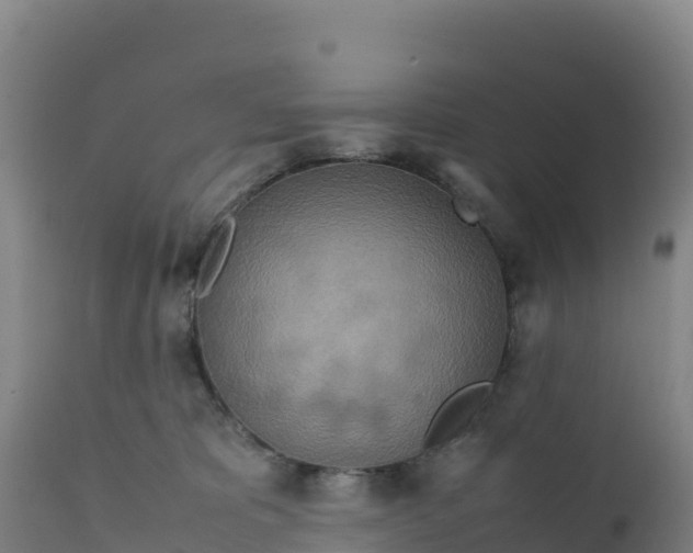 X0000112400325200908281757