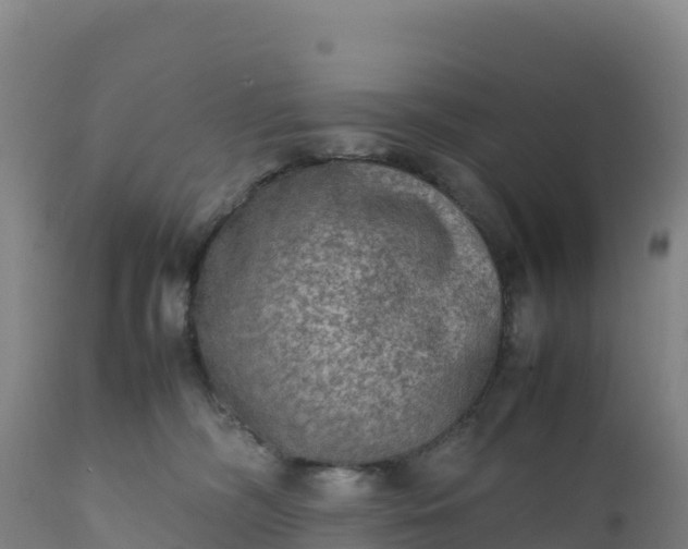 X0000112400326200908281757