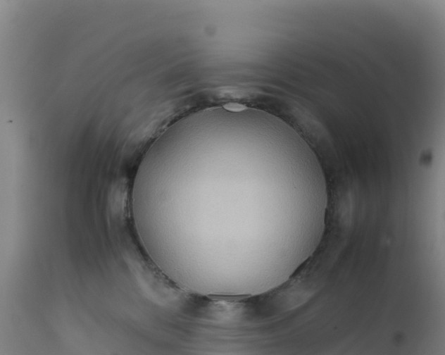 X0000112400328200908281756