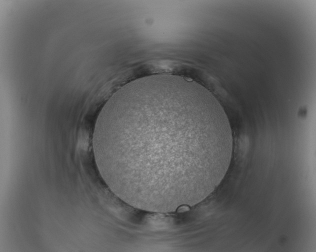 X0000112400331200908281756