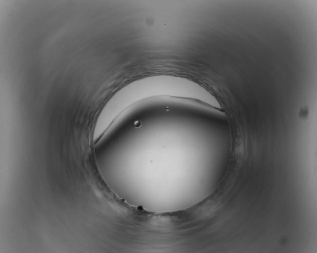 X0000112400332200908281756