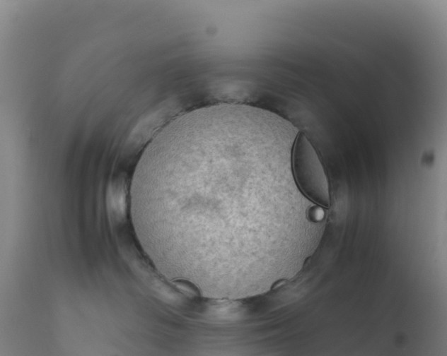 X0000112400334200908281756