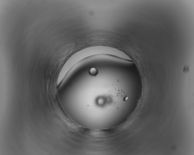X0000112400336200908281756
