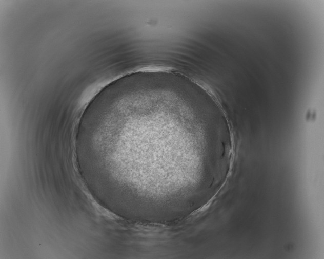 X0000112400337200908281756