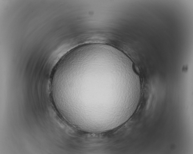 X0000112400338200908281756