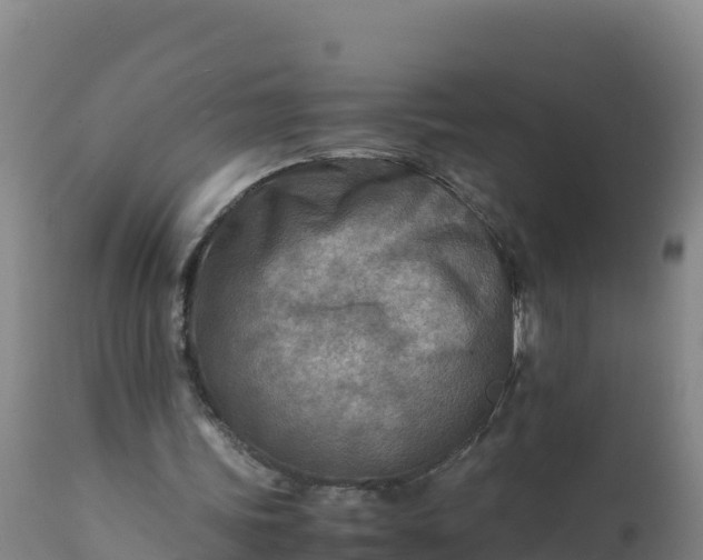 X0000112400339200908281756