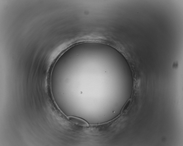 X0000112400340200908281756