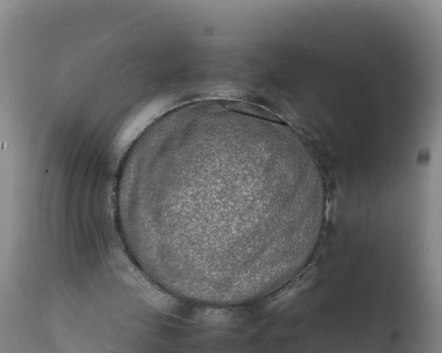 X0000112400341200908281756