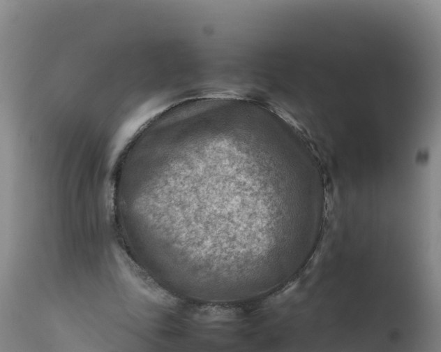 X0000112400343200908281756