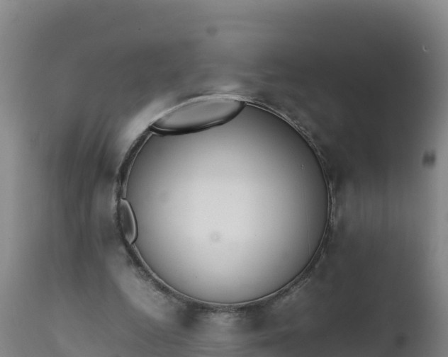 X0000112400344200908281756