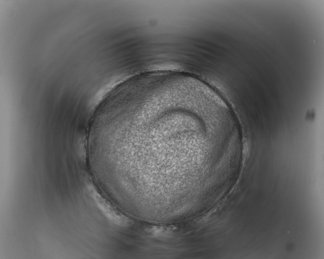 X0000112400345200908281756