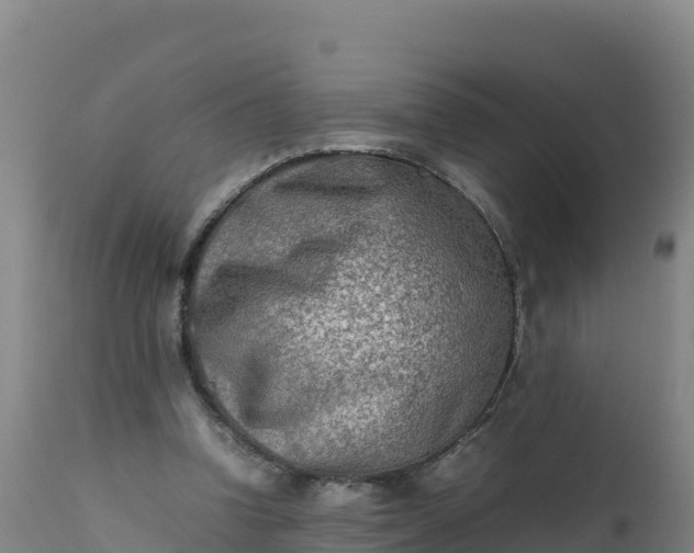 X0000112400346200908281756