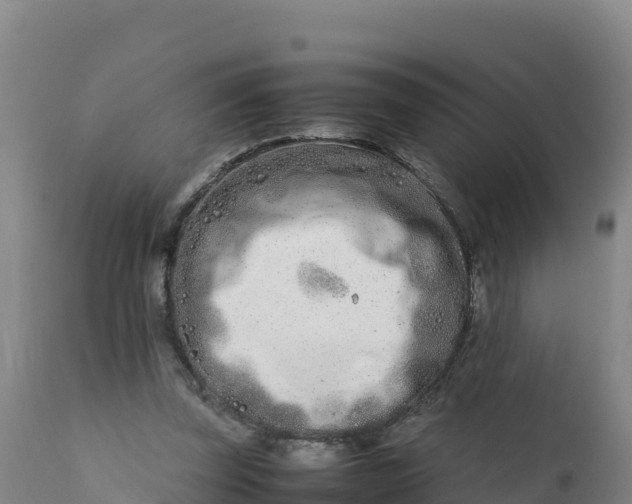 X0000112400347200908281756