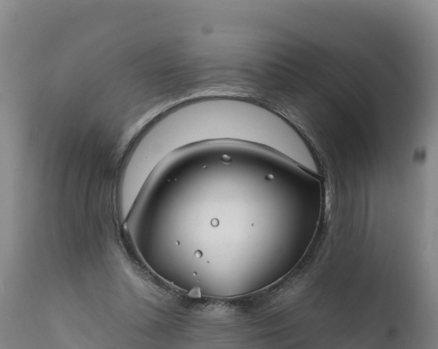 X0000112400348200908281756