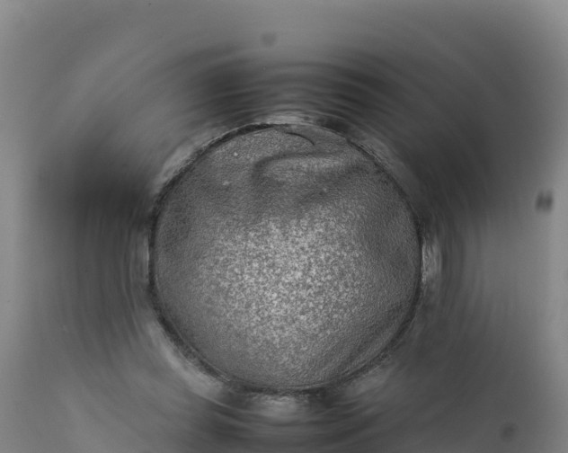 X0000112400349200908281756