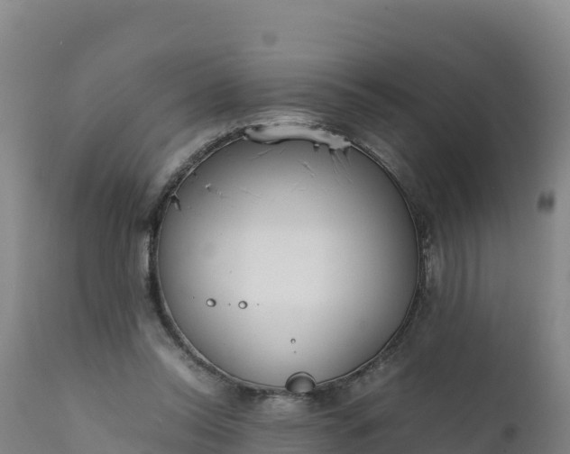X0000112400350200908281756