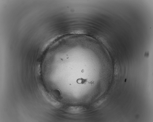 X0000112400351200908281756