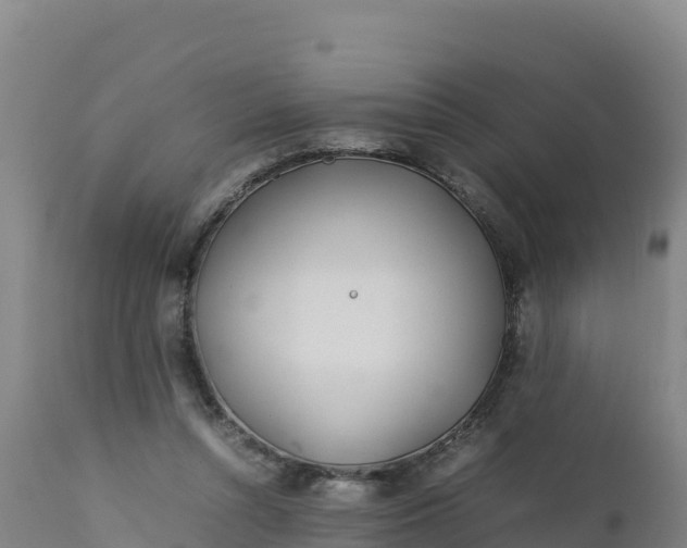 X0000112400352200908281756