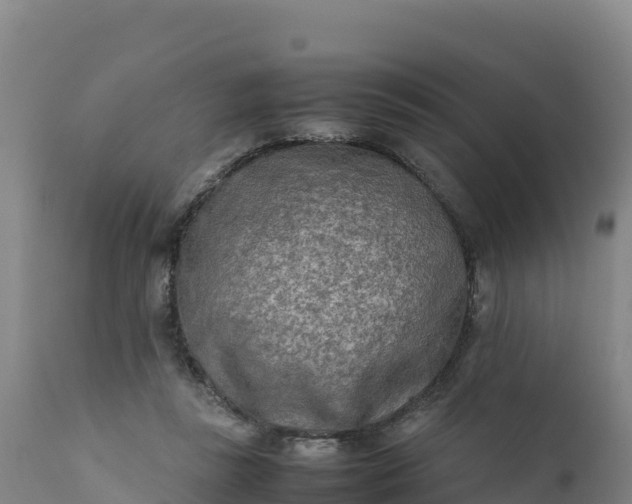 X0000112400355200908281756