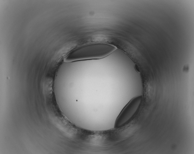 X0000112400356200908281756