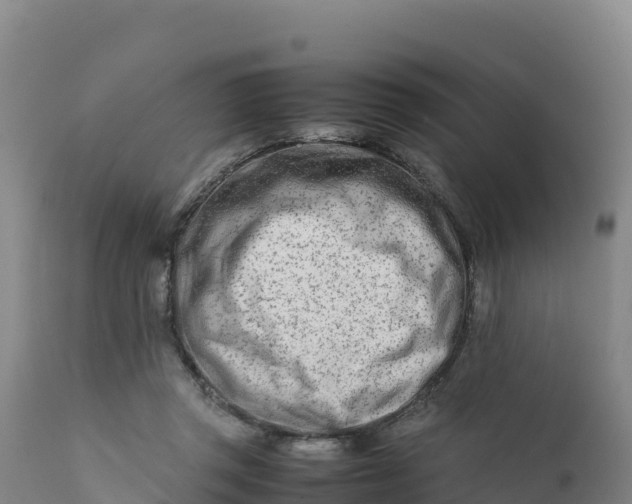 X0000112400357200908281756