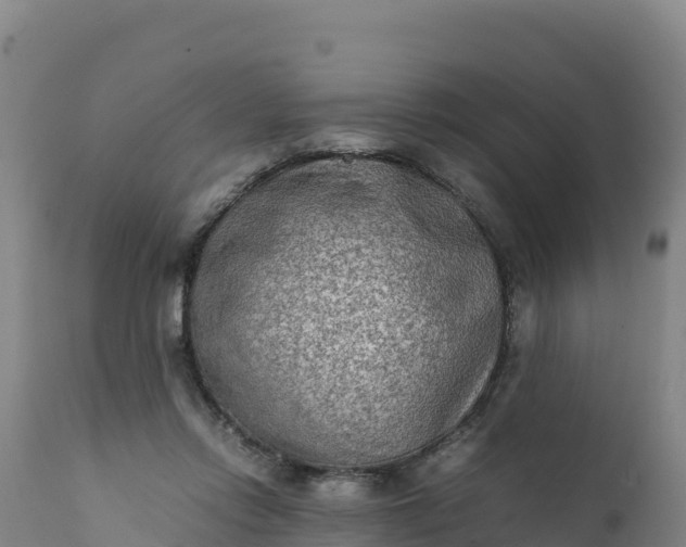 X0000112400358200908281756