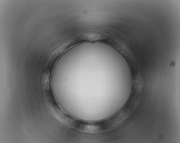 X0000112400360200908281756