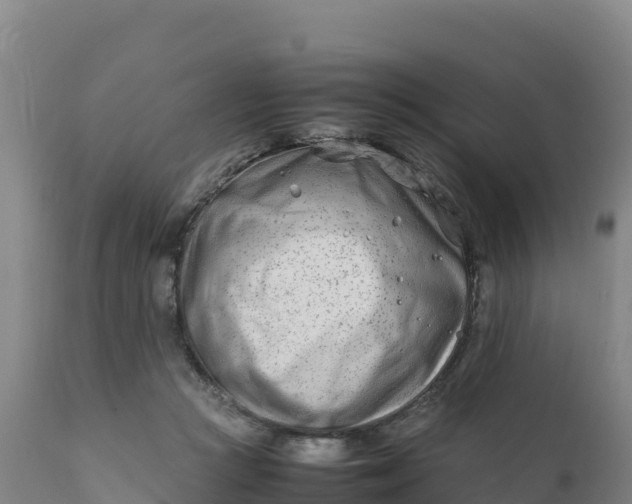 X0000112400361200908281756