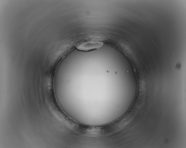 X0000112400362200908281756
