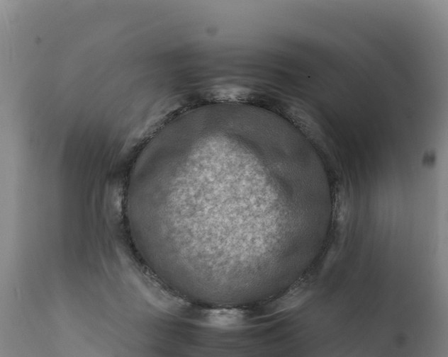 X0000112400363200908281756