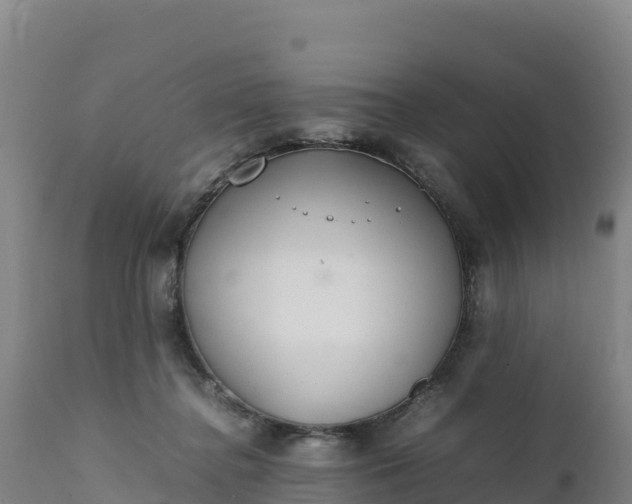 X0000112400364200908281756