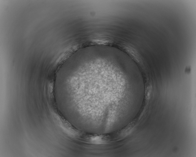 X0000112400365200908281756