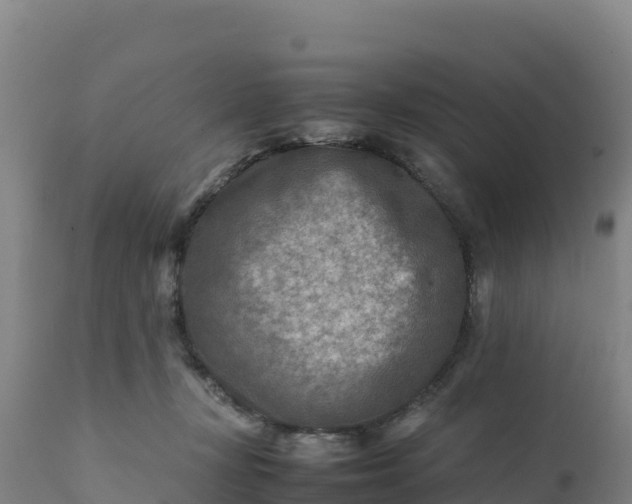 X0000112400367200908281756