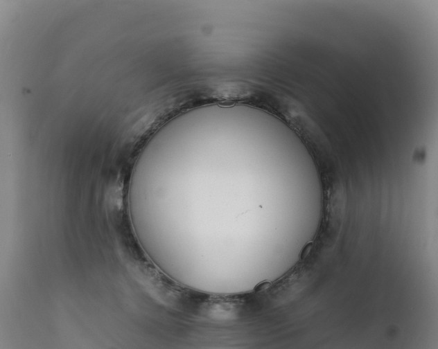 X0000112400368200908281756