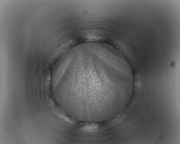 X0000112400369200908281756