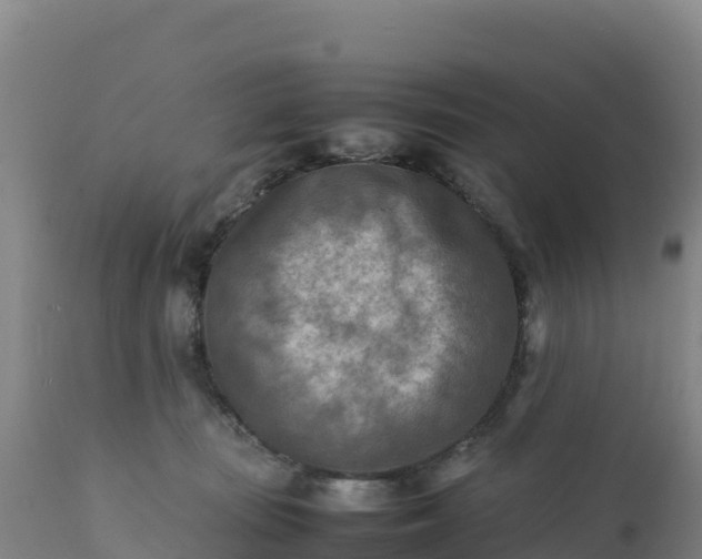 X0000112400371200908281756
