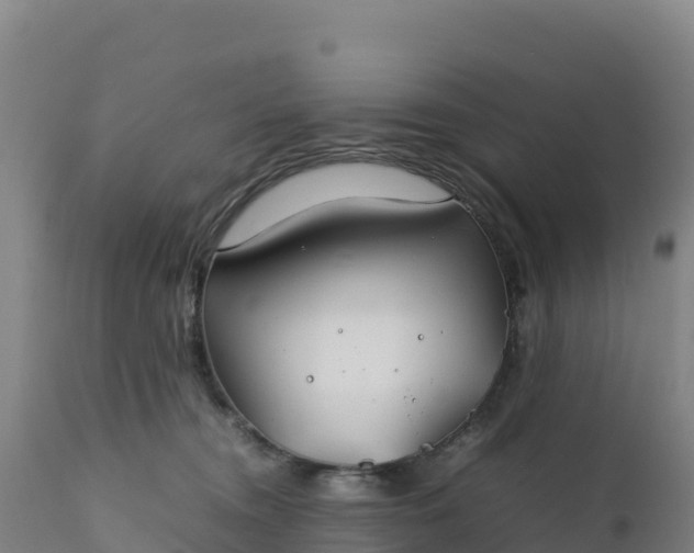X0000112400372200908281756