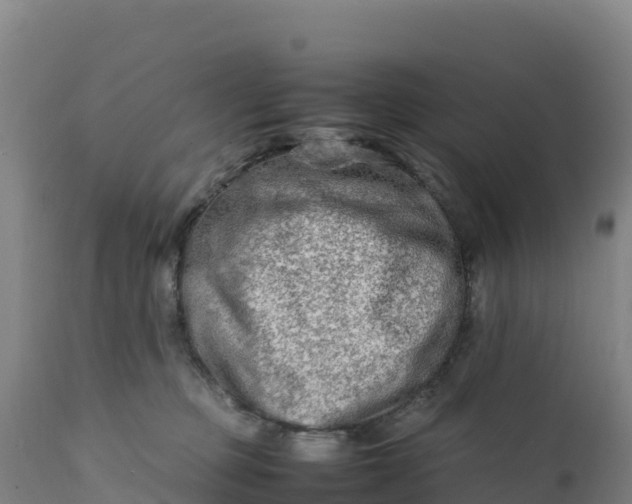 X0000112400373200908281756