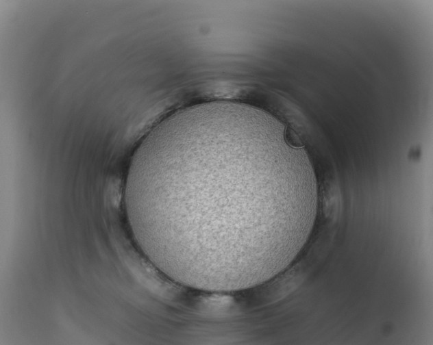 X0000112400374200908281756