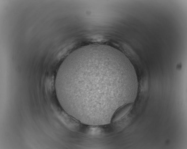 X0000112400376200908281756
