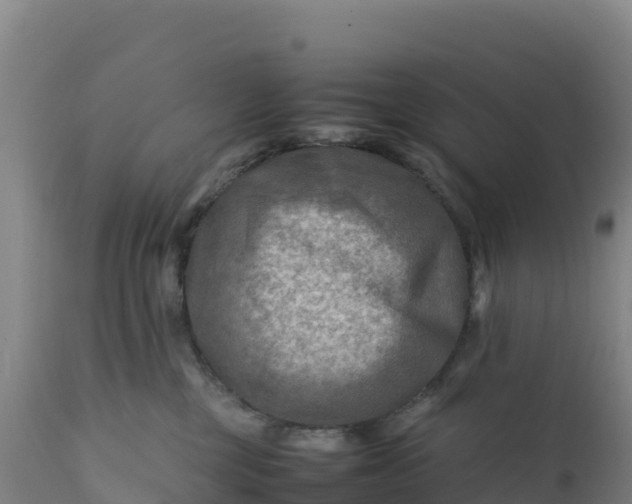 X0000112400377200908281756